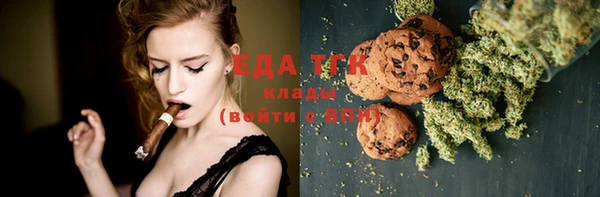 индика Киренск