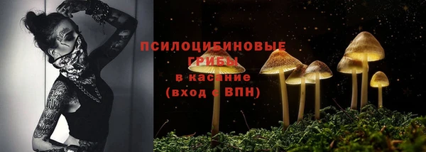 мескалин Кинешма