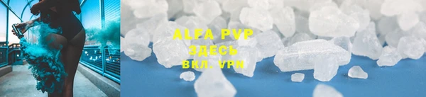 индика Киренск