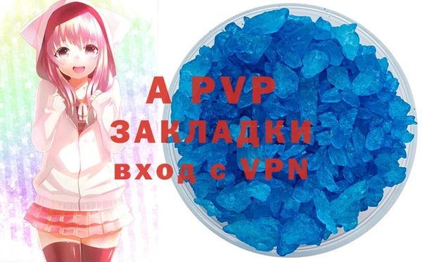 индика Киренск