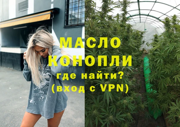 индика Киренск