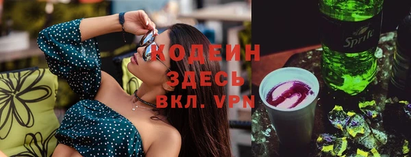 индика Киренск