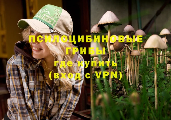 индика Киренск
