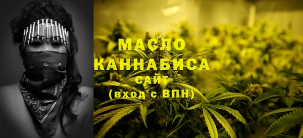 индика Киренск